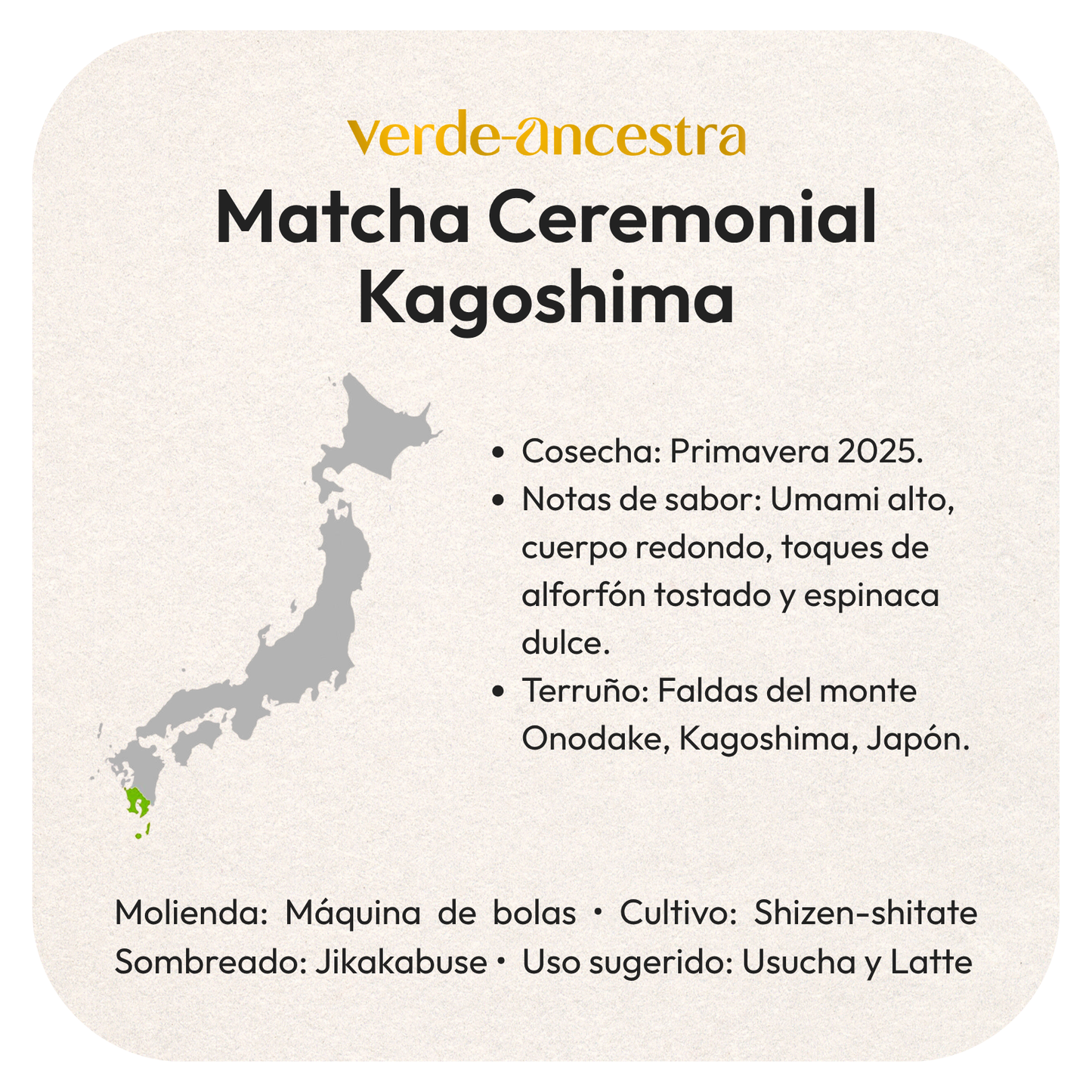 Matcha Ceremonial Japonés – Primera Cosecha 2025, Umami Intenso y Textura Ultrafina Verde Ancestra
