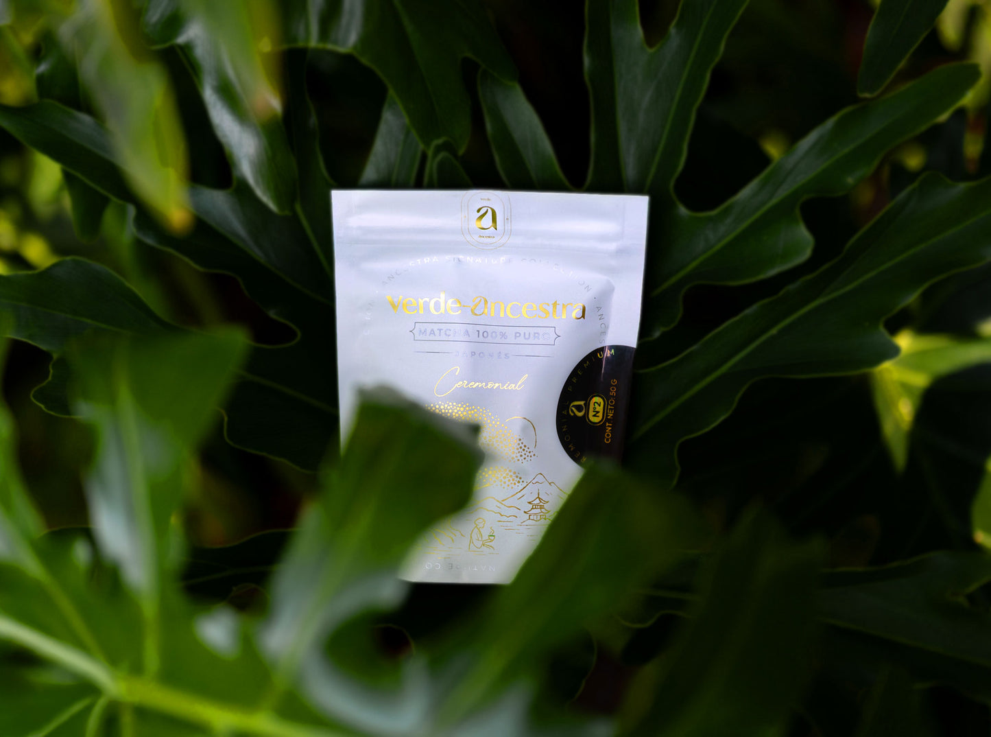 Matcha Ceremonial Premium N.° 2 | Single Cultivar Okumidori | Nishio Verde Ancestra