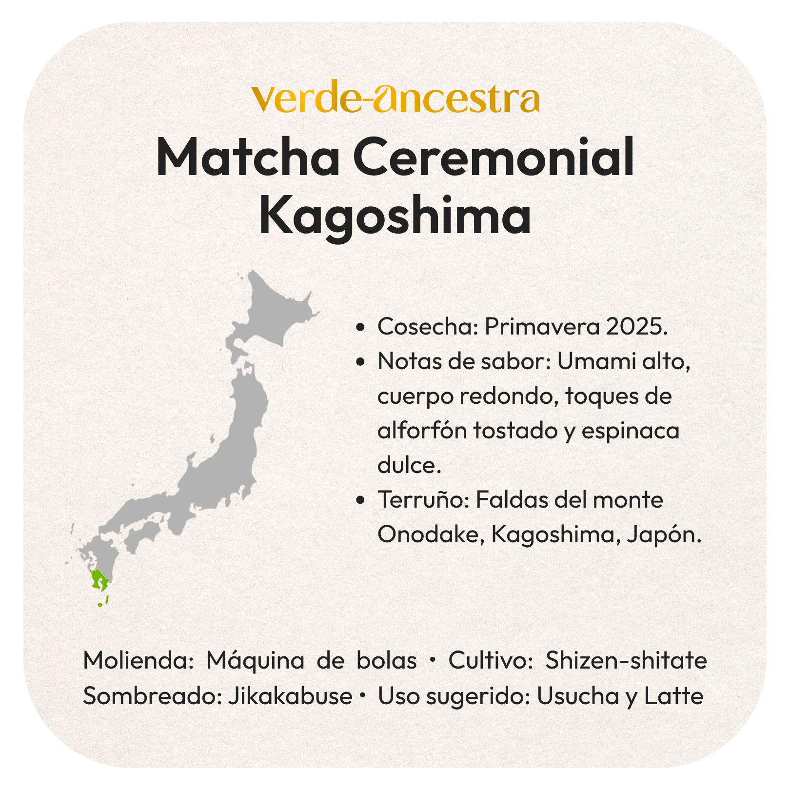 Matcha Ceremonial Japonés – Primera Cosecha 2025, Umami Intenso y Textura Ultrafina Verde Ancestra