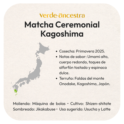 Matcha Ceremonial Japonés – Primera Cosecha 2025, Umami Intenso y Textura Ultrafina Verde Ancestra