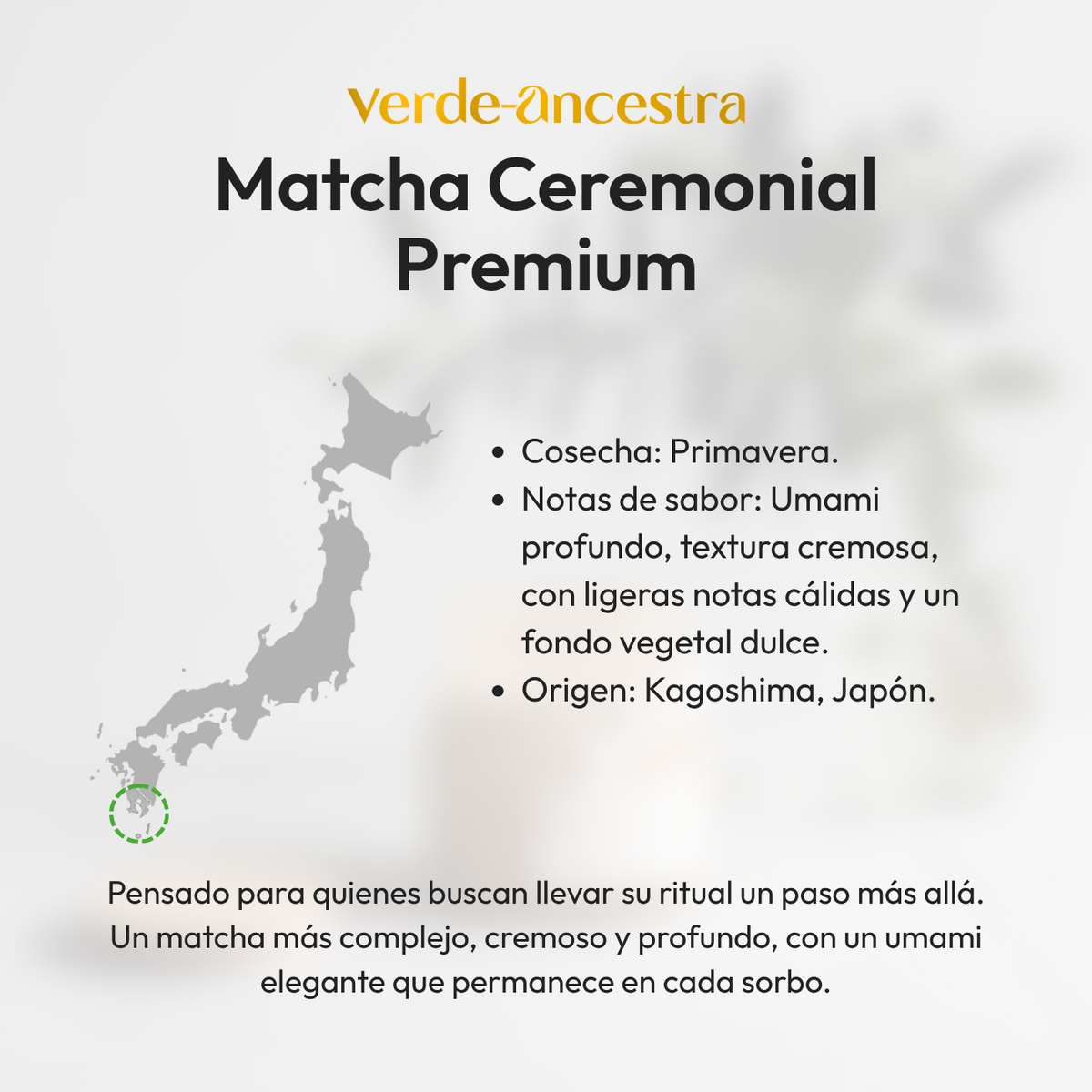 Primera Matcha Matcha Ceremonial Premium – Primera Cosecha Verde Ancestra
