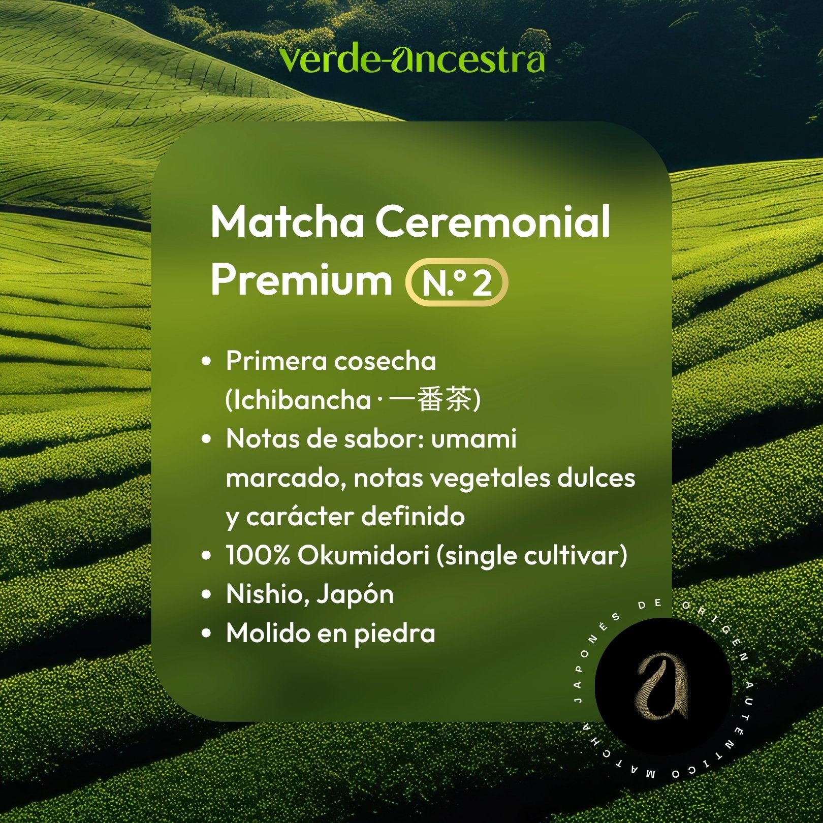 Matcha Ceremonial Premium N.° 2 | Single Cultivar Okumidori | Nishio Verde Ancestra